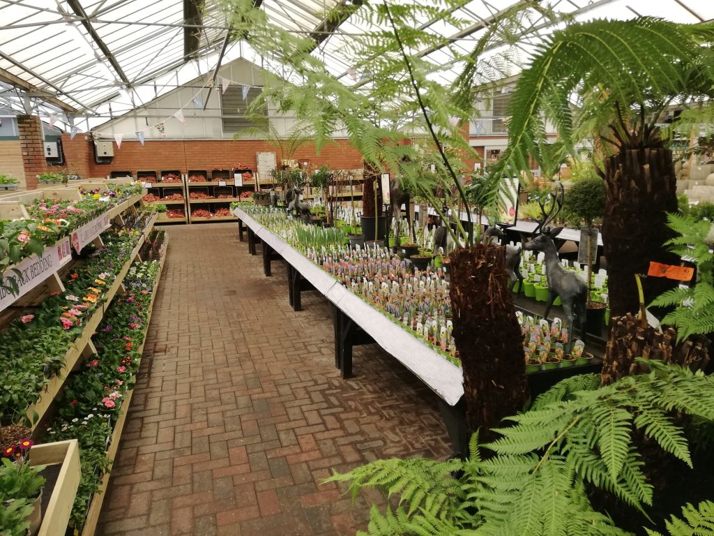 Gardenforum News Around the Country Treat your mask like underwear